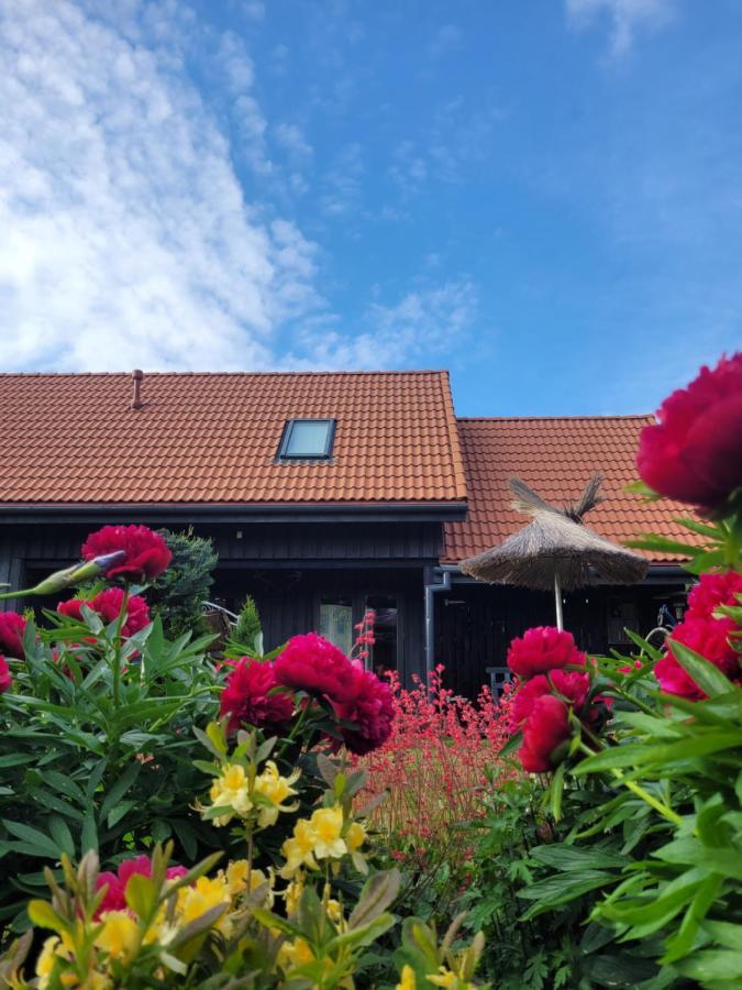 Hotel Viesu Maja Zvilnis à Pāvilosta Extérieur photo